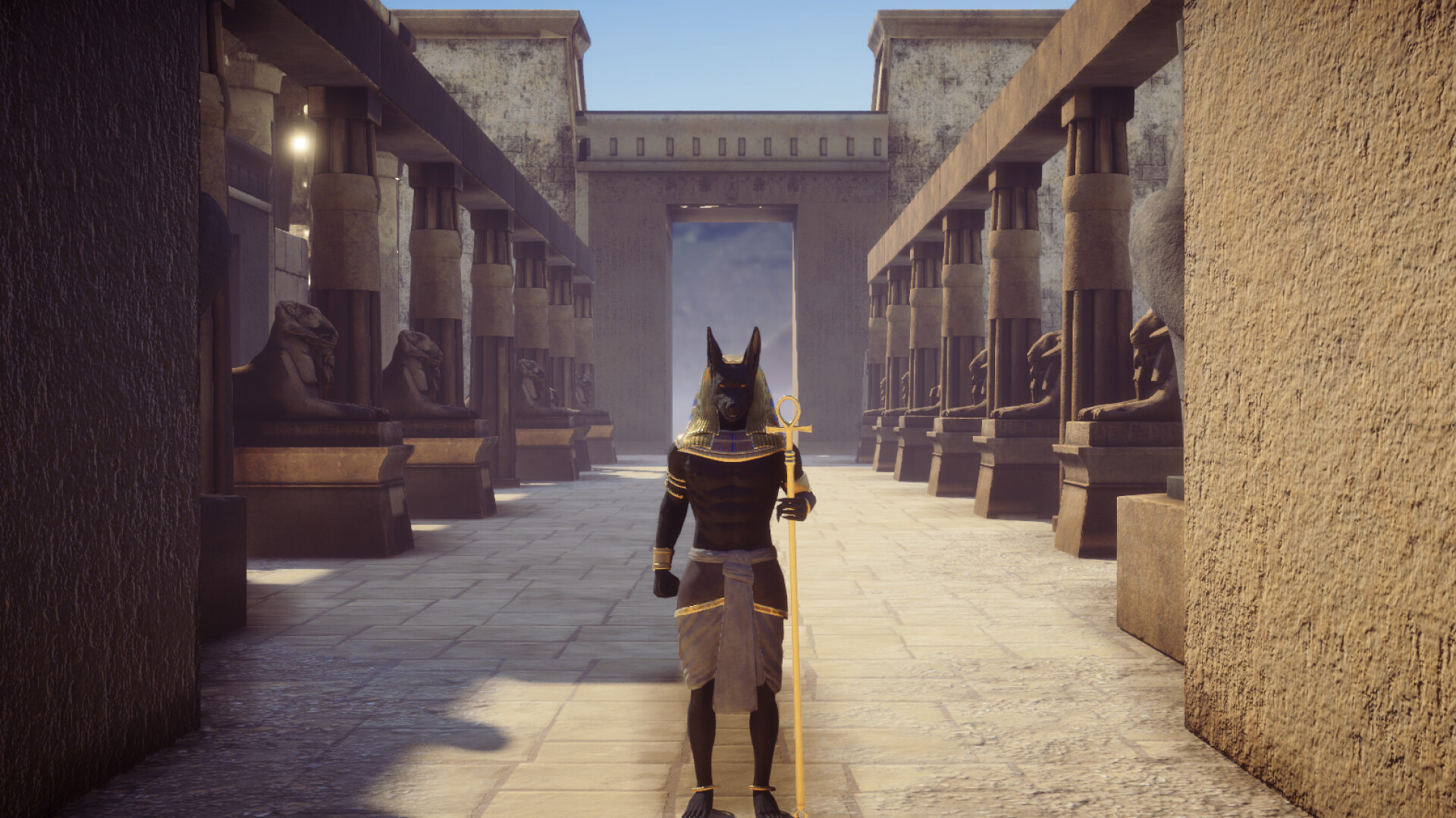 Anubis screenshot 8