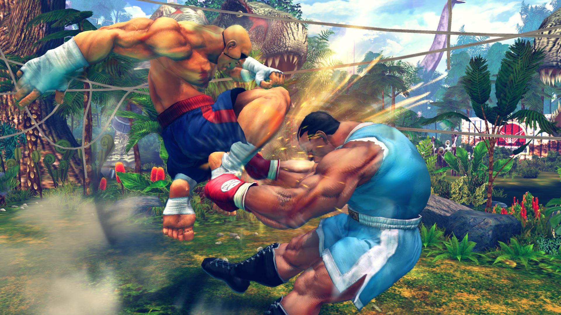 Ultra SFIV Digital Upgrade screenshot 12