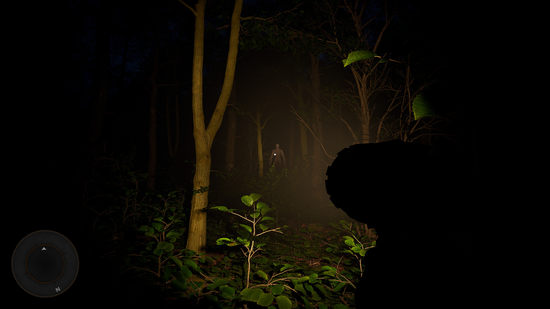 Nightwalk Simulator screenshot 11