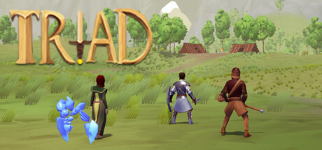Triad — Steam header