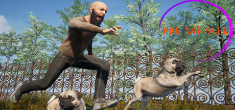Steam：Pug and Seek