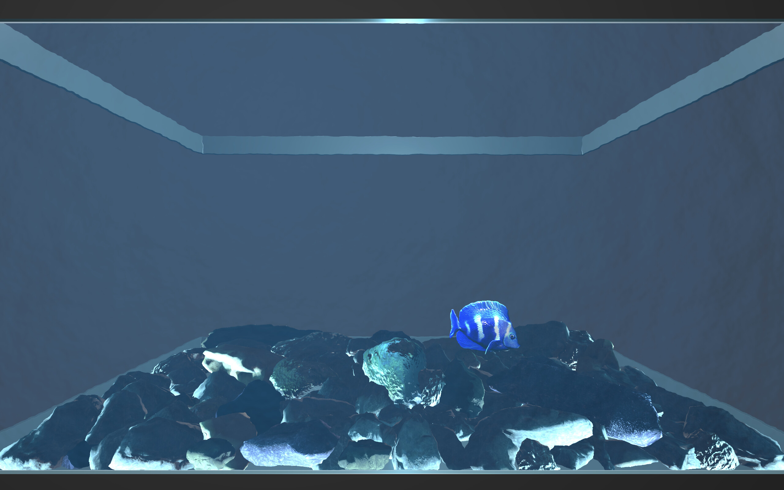 Aquario screenshot 3