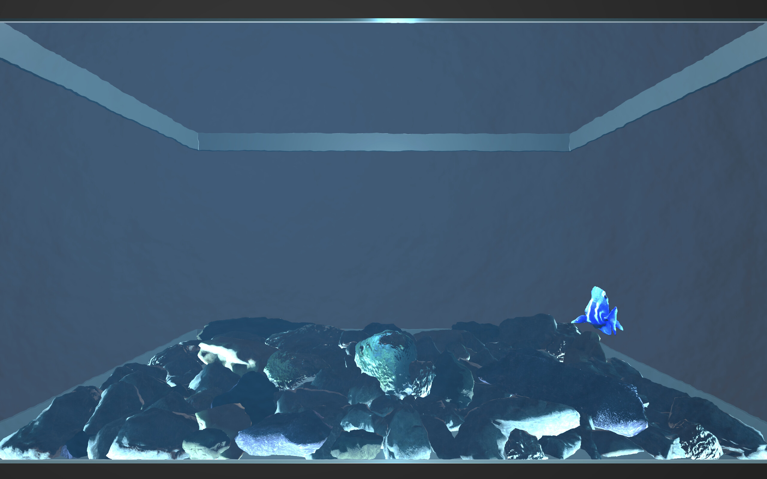 Aquario screenshot 4