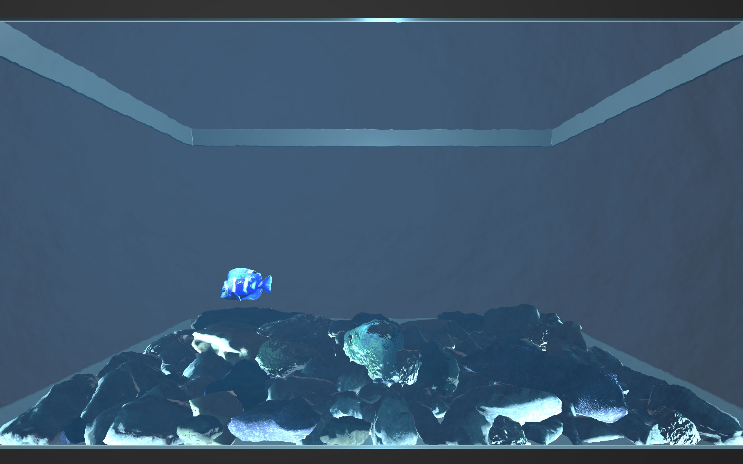 Aquario screenshot 1