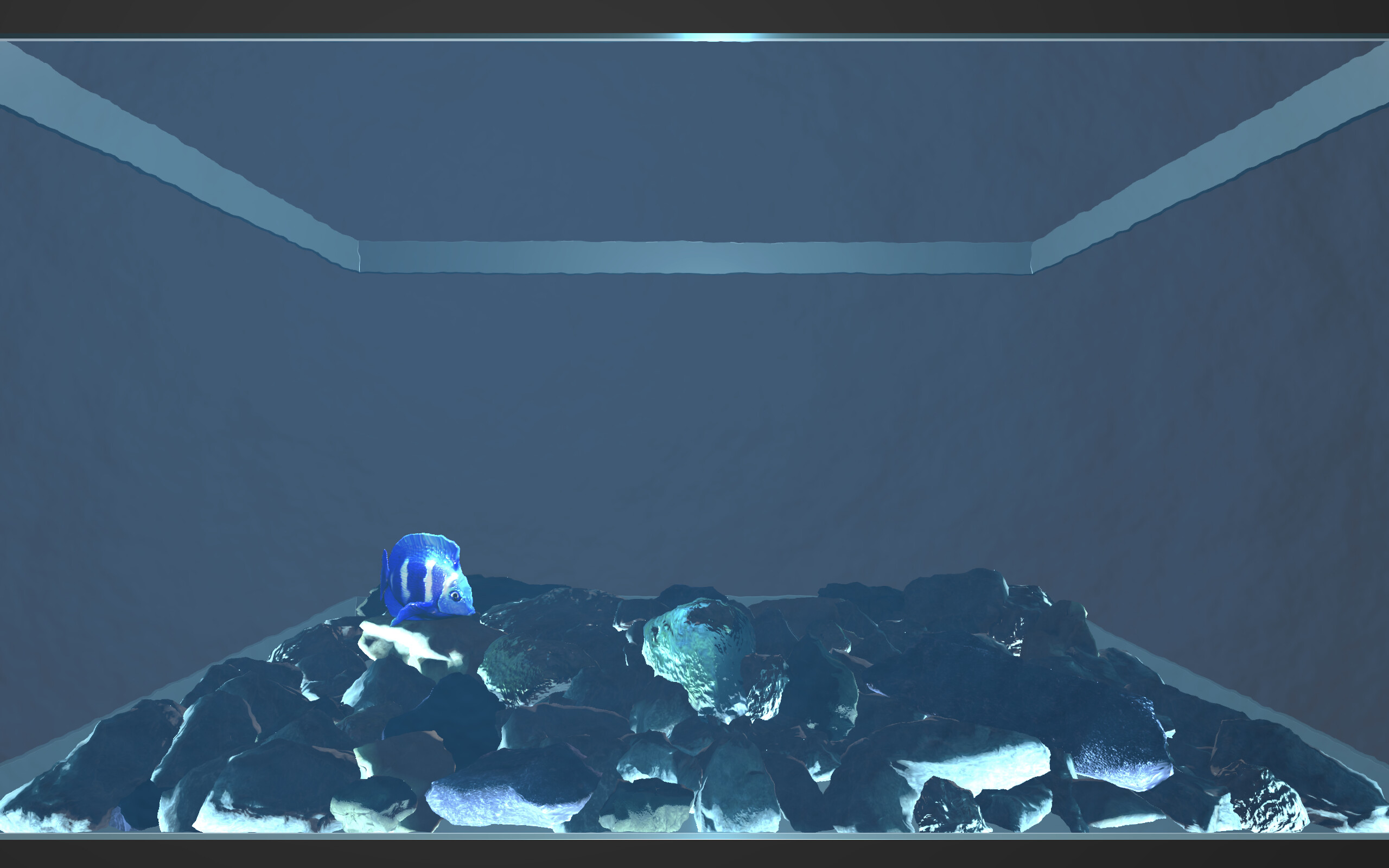 Aquario screenshot 2