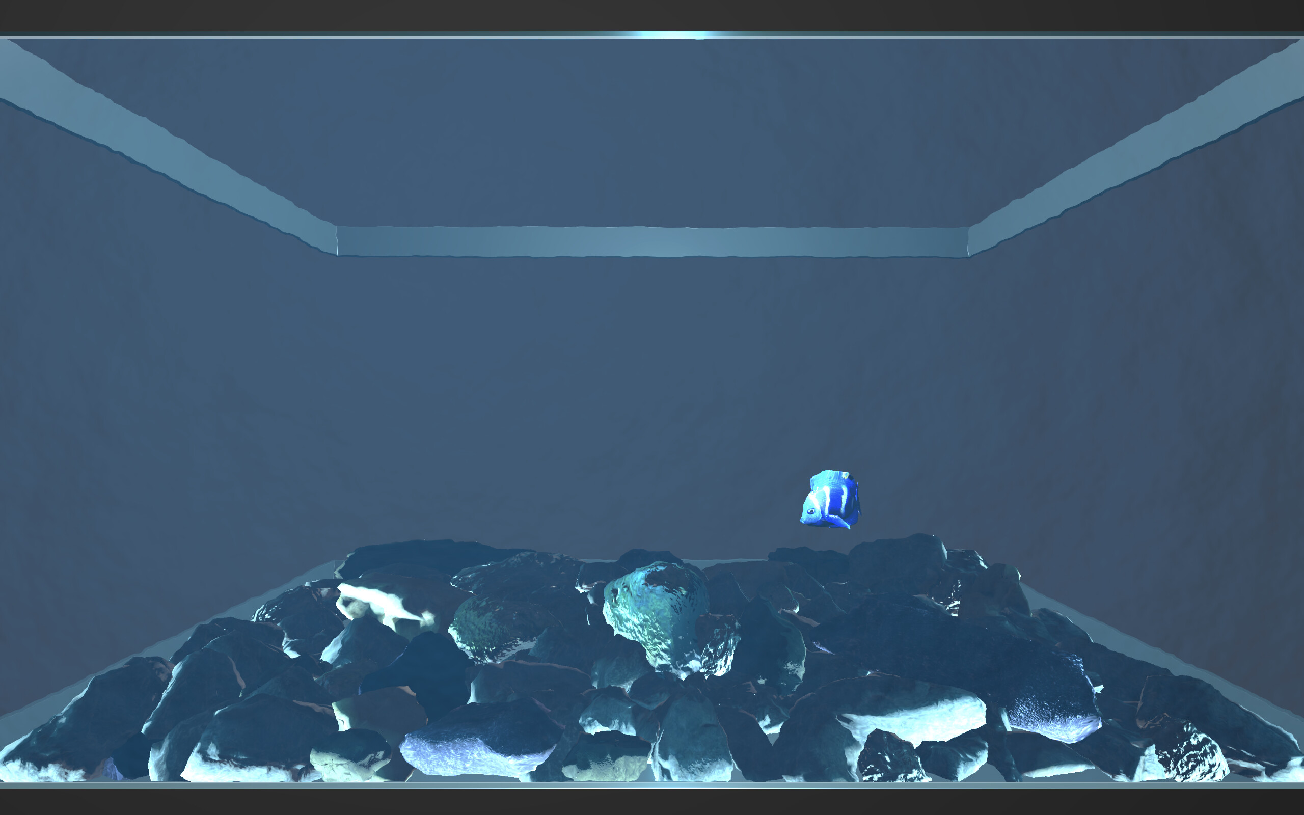 Aquario screenshot 5