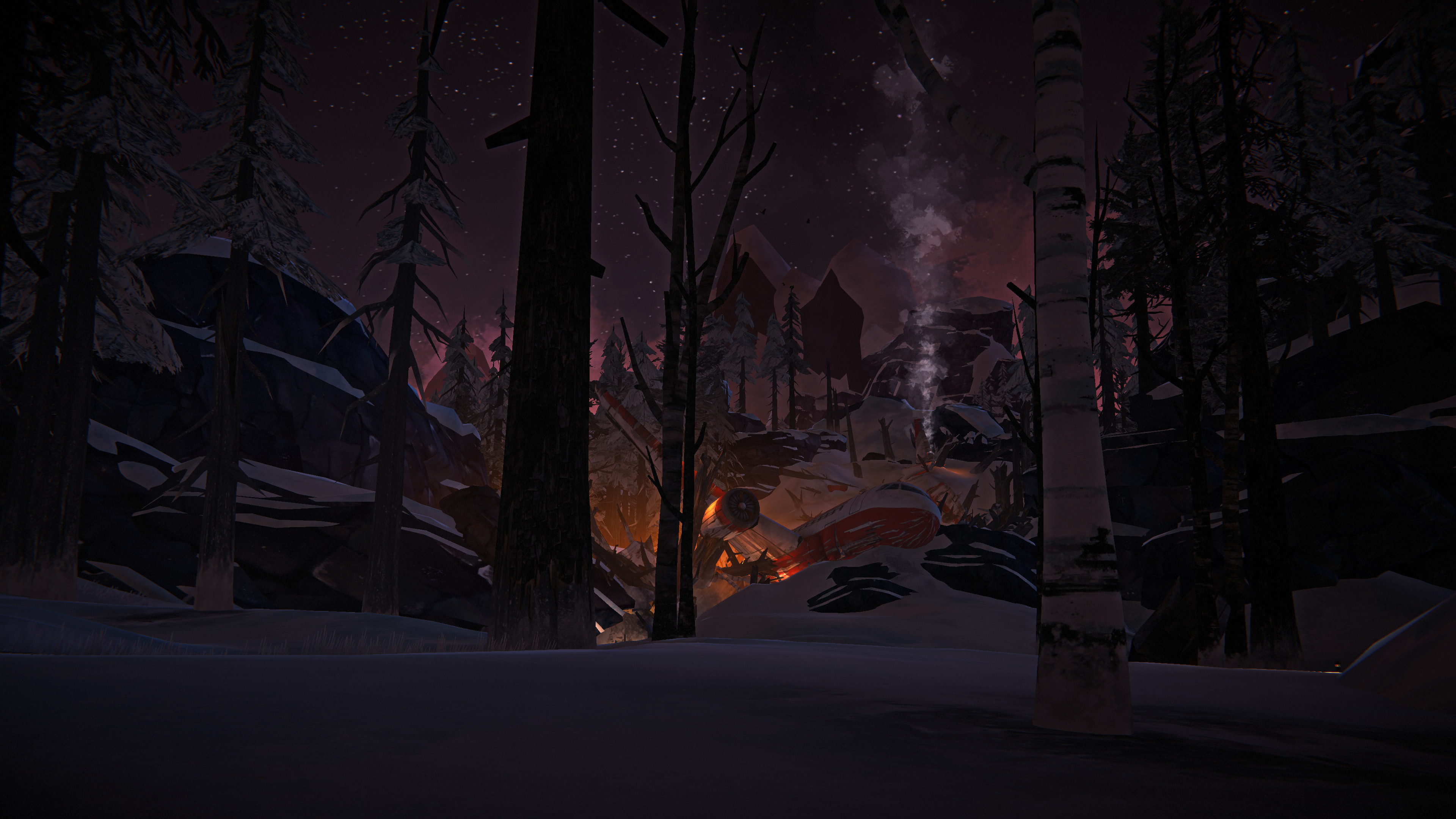 The Long Dark screenshot 21