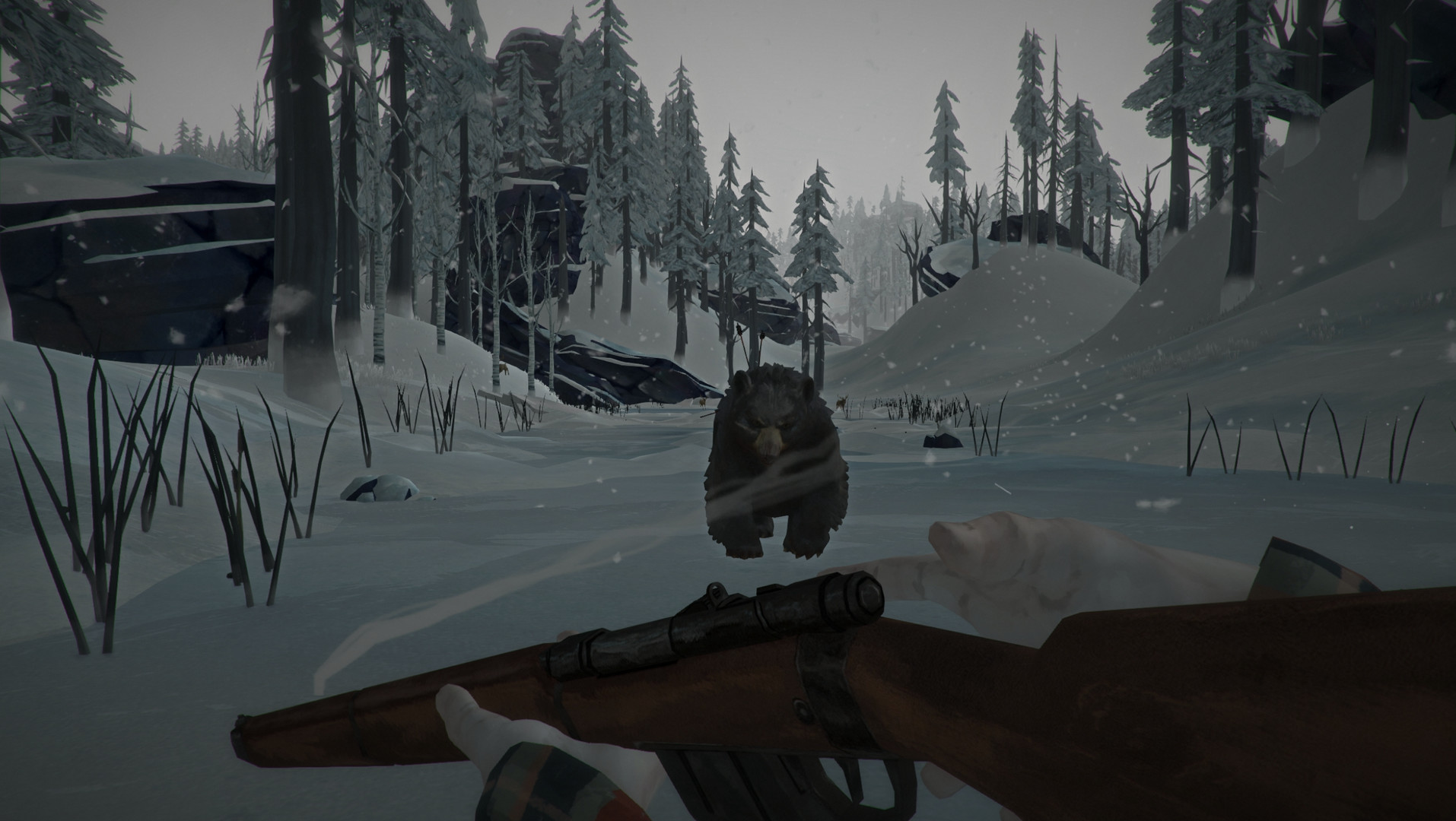 The Long Dark — изображение 4