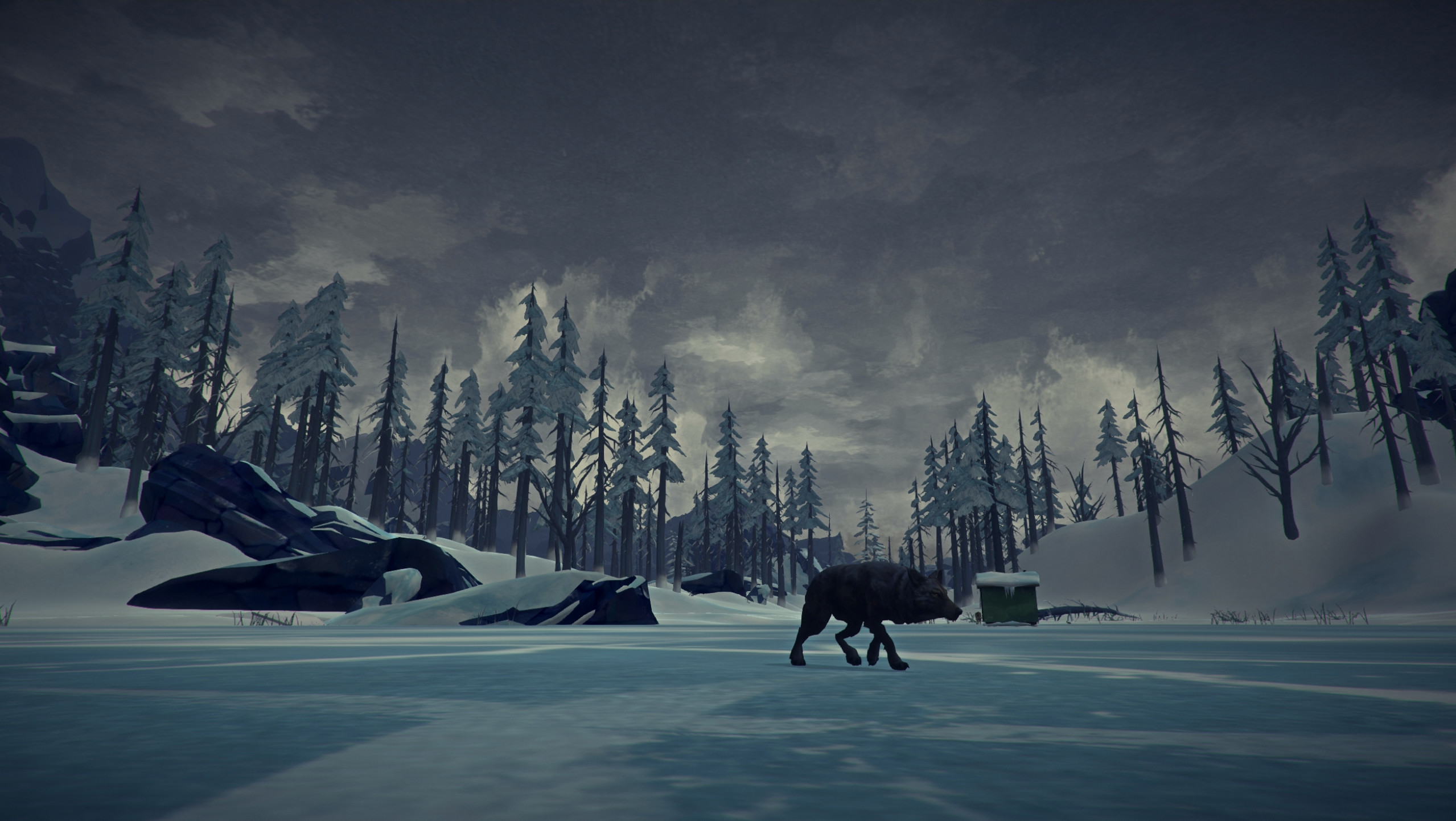 The Long Dark — заметенный снегом лес