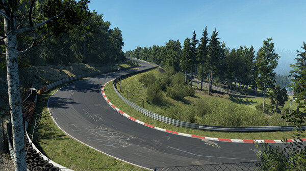 Assetto Corsa EVO CD Key 4