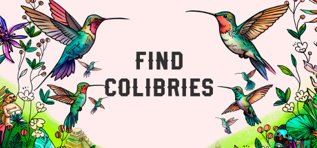 Find Colibries — header artwork