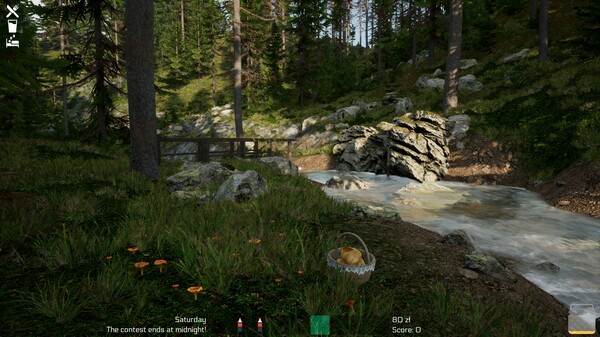 Screenshots