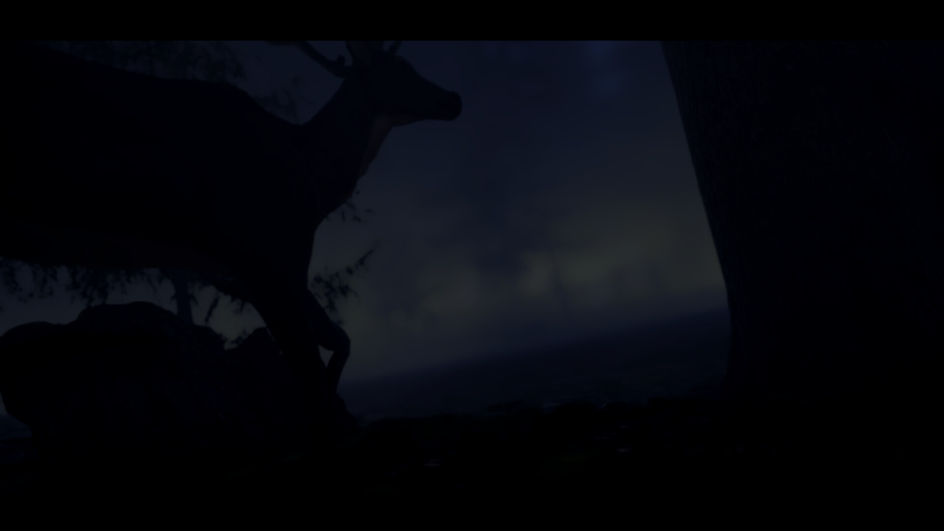 Distant screenshot 8