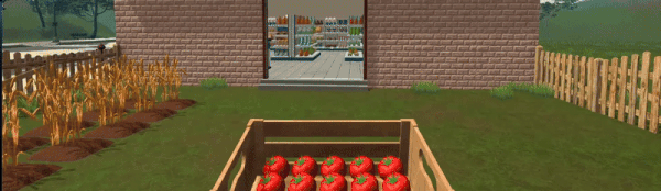 Farming & Supermarket Simulator