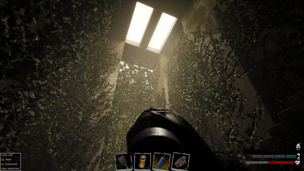 Backrooms Lost Runners screenshot