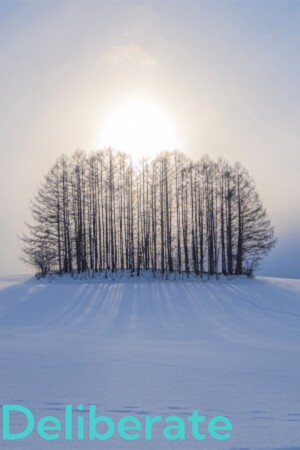 e5540283-a742-dedd-7135-1677f01b5b8b