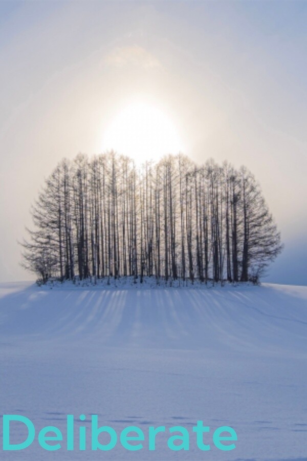 ad6da2f5-1015-30b8-91d5-6349012b83d2