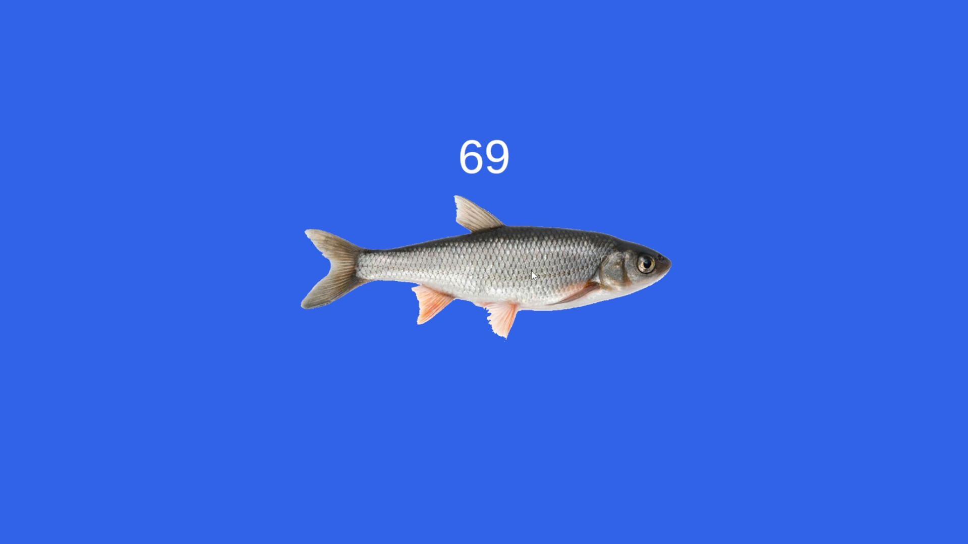 Fish screenshot 4
