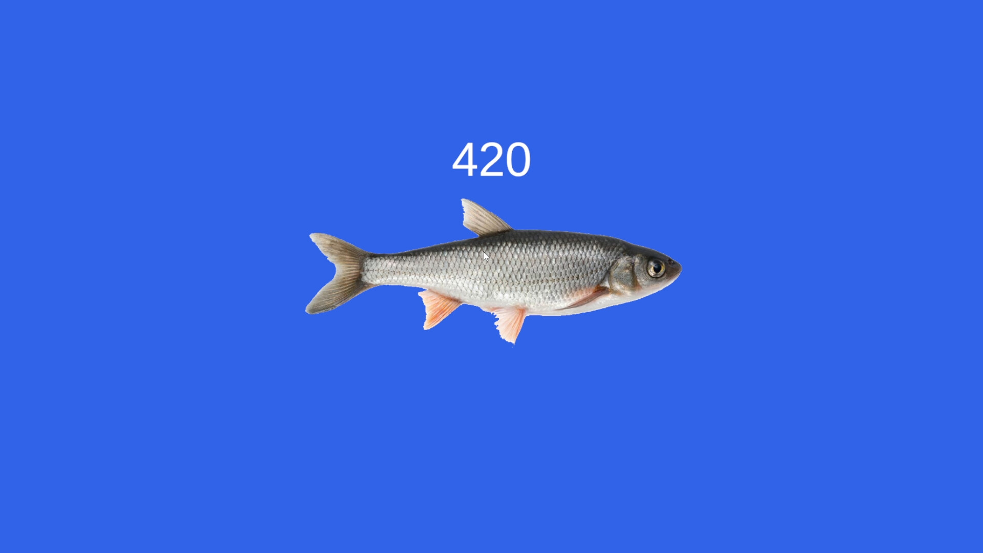 Fish screenshot 5