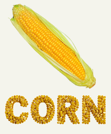 CORN
