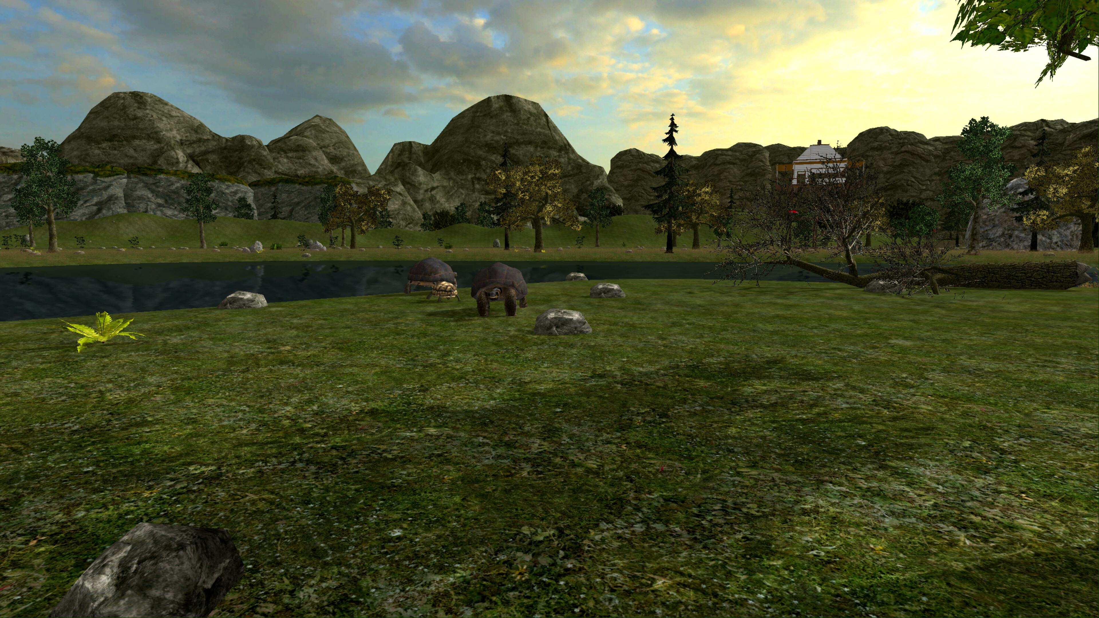 Realm Drifter screenshot 4