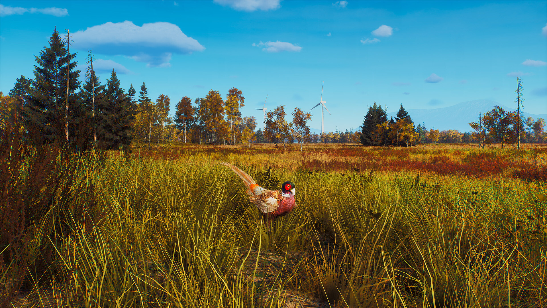 Way of the Hunter - Lintukoto Reserve screenshot 13