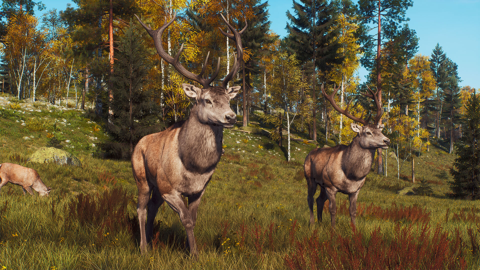 Way of the Hunter - Lintukoto Reserve screenshot 10
