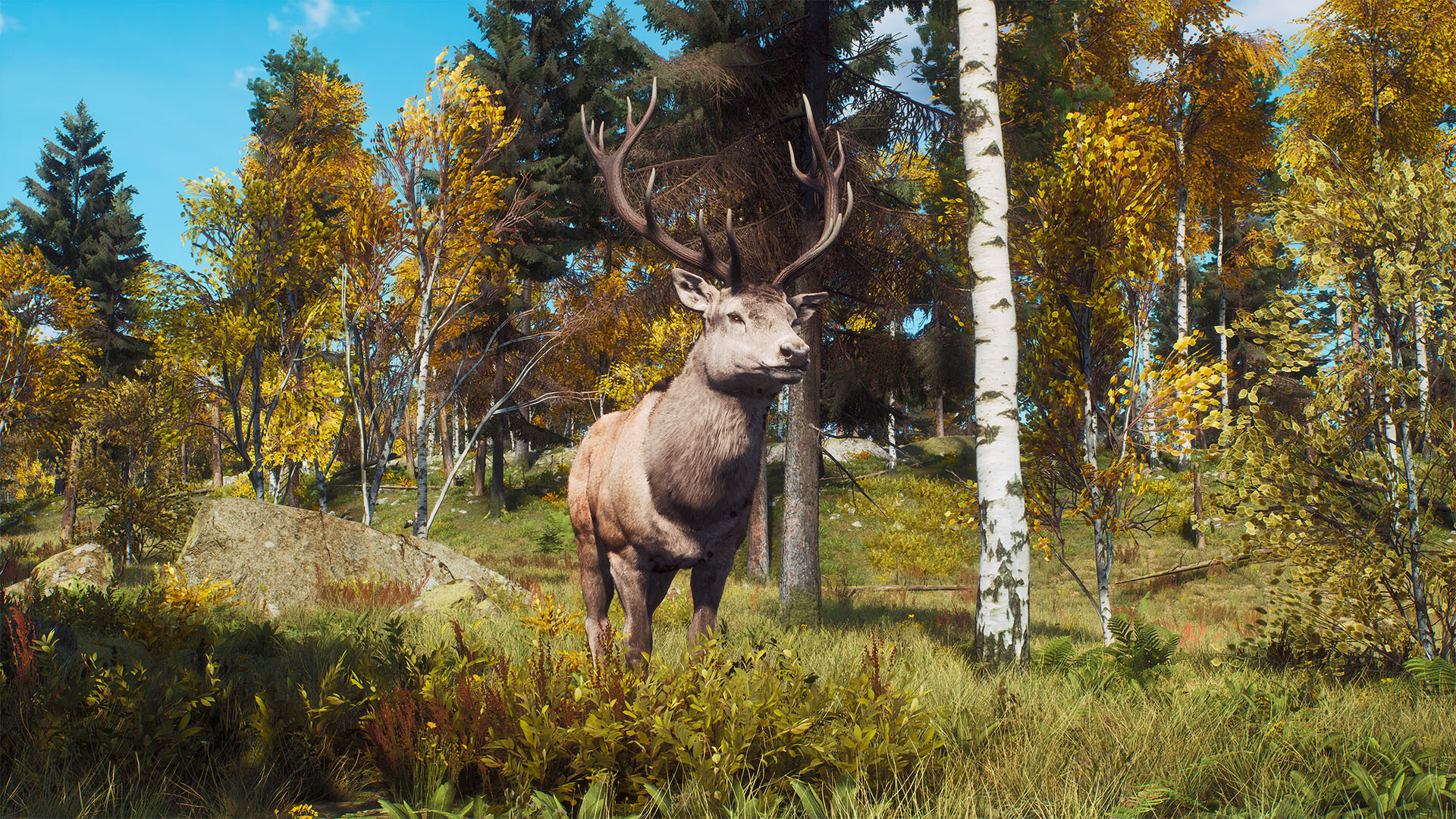 Way of the Hunter - Lintukoto Reserve screenshot 1