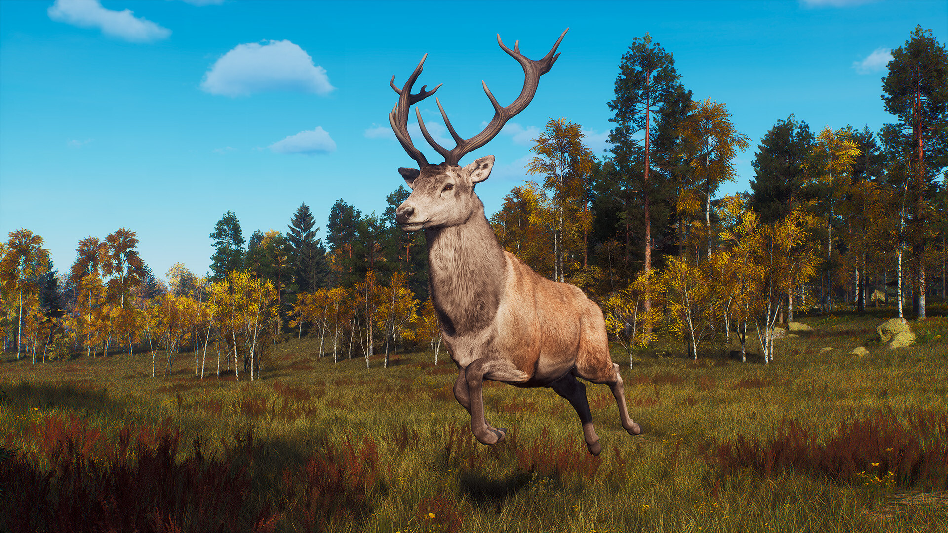 Way of the Hunter - Lintukoto Reserve screenshot 12