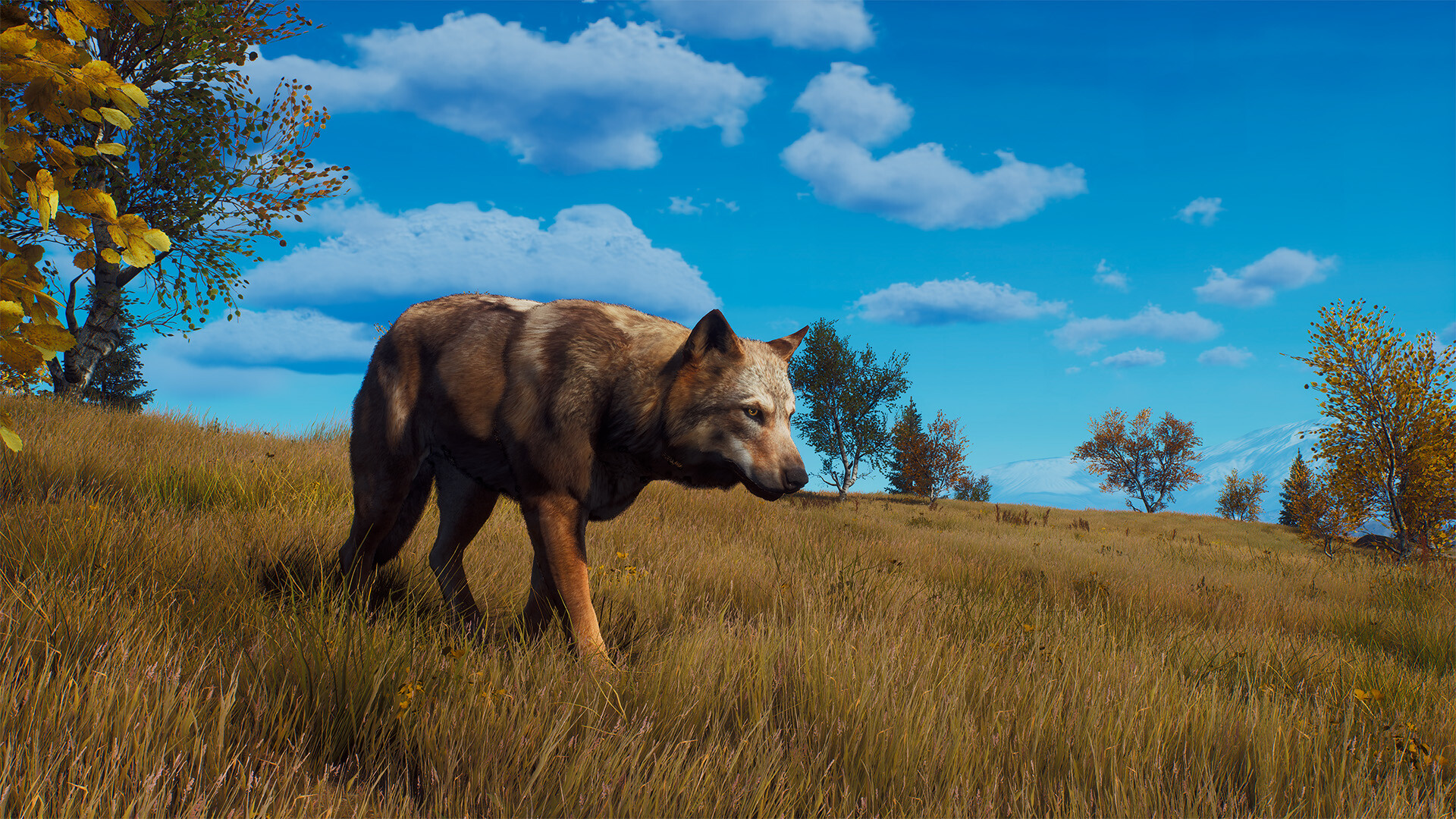 Way of the Hunter - Lintukoto Reserve screenshot 8