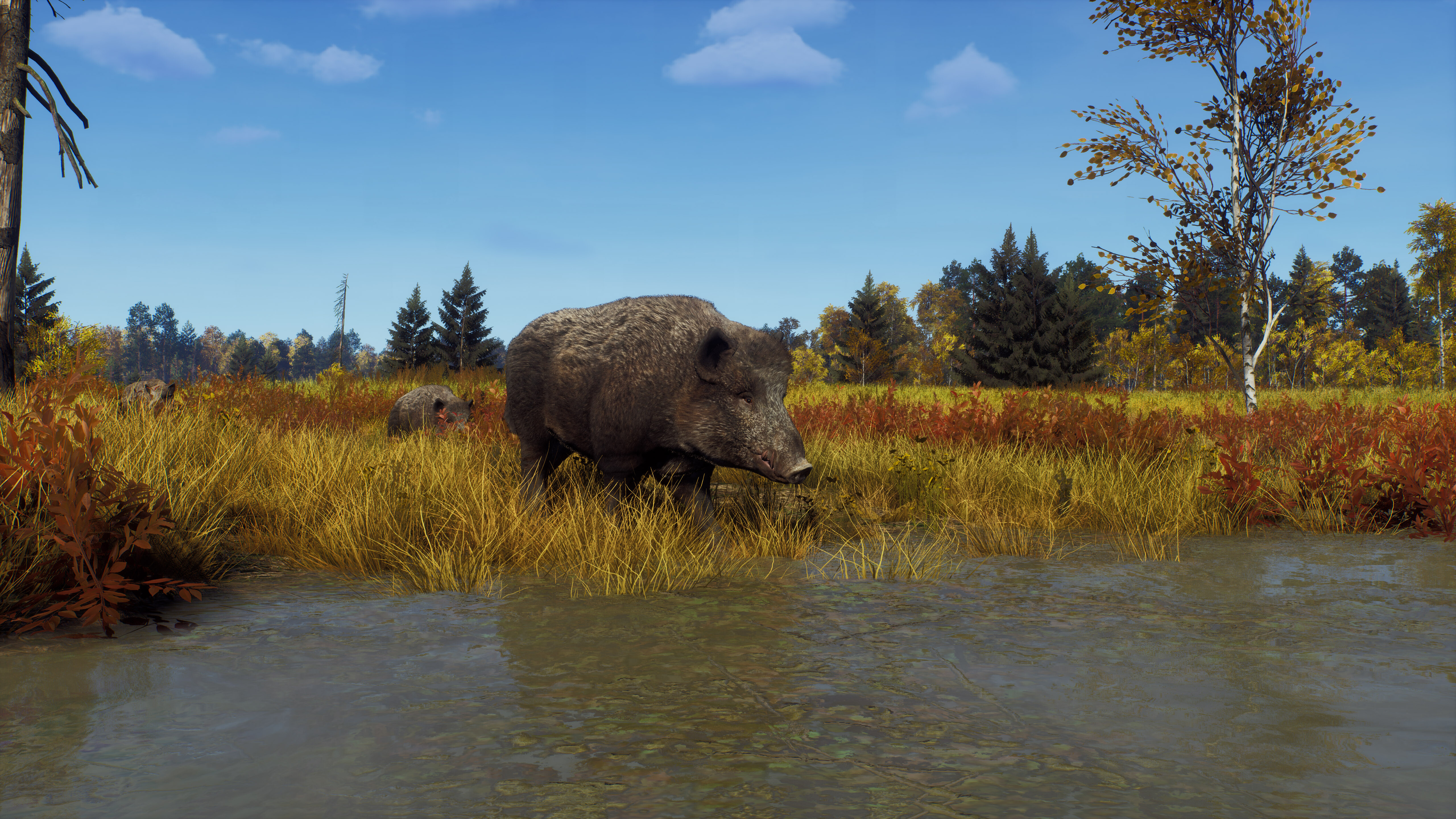 Way of the Hunter - Lintukoto Reserve screenshot 6