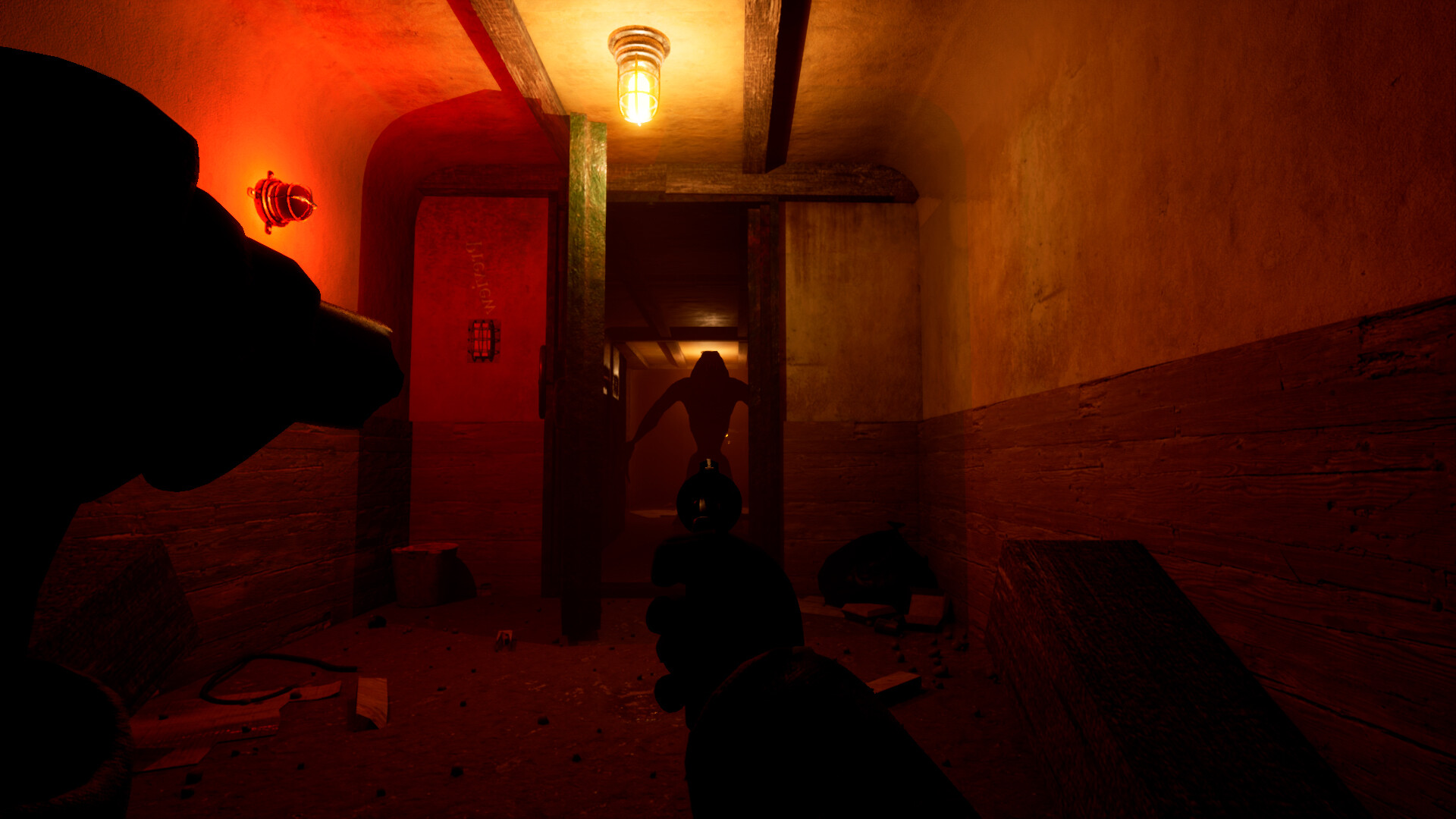 Schizophrenia: R.EM. Protocol screenshot 2