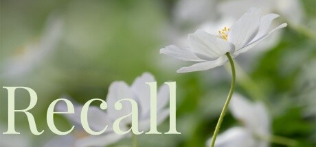 Recall — header artwork