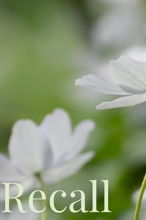 42a957bb-238e-7a58-de3b-33138b00f530