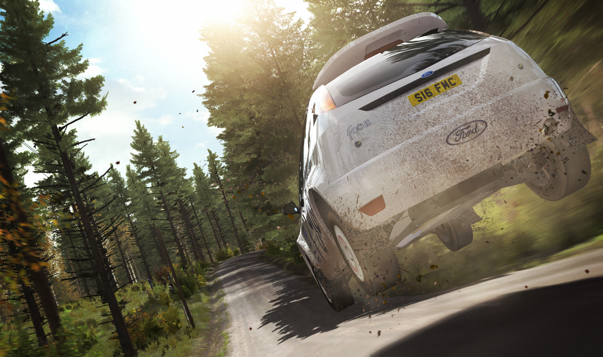 DiRT Rally screenshot 11