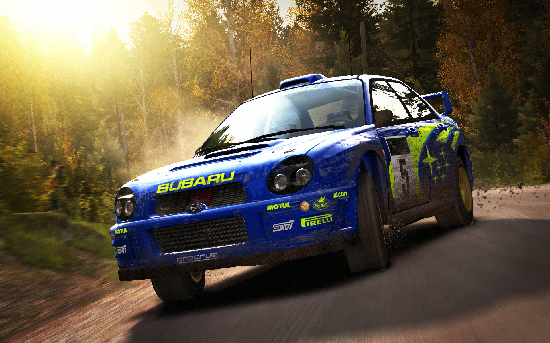 DiRT Rally screenshot 31