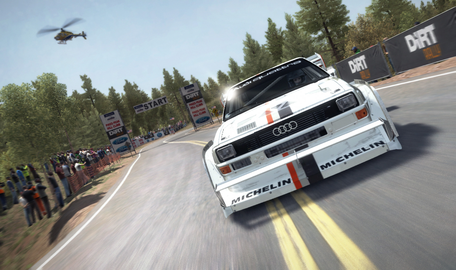 DiRT Rally screenshot 1
