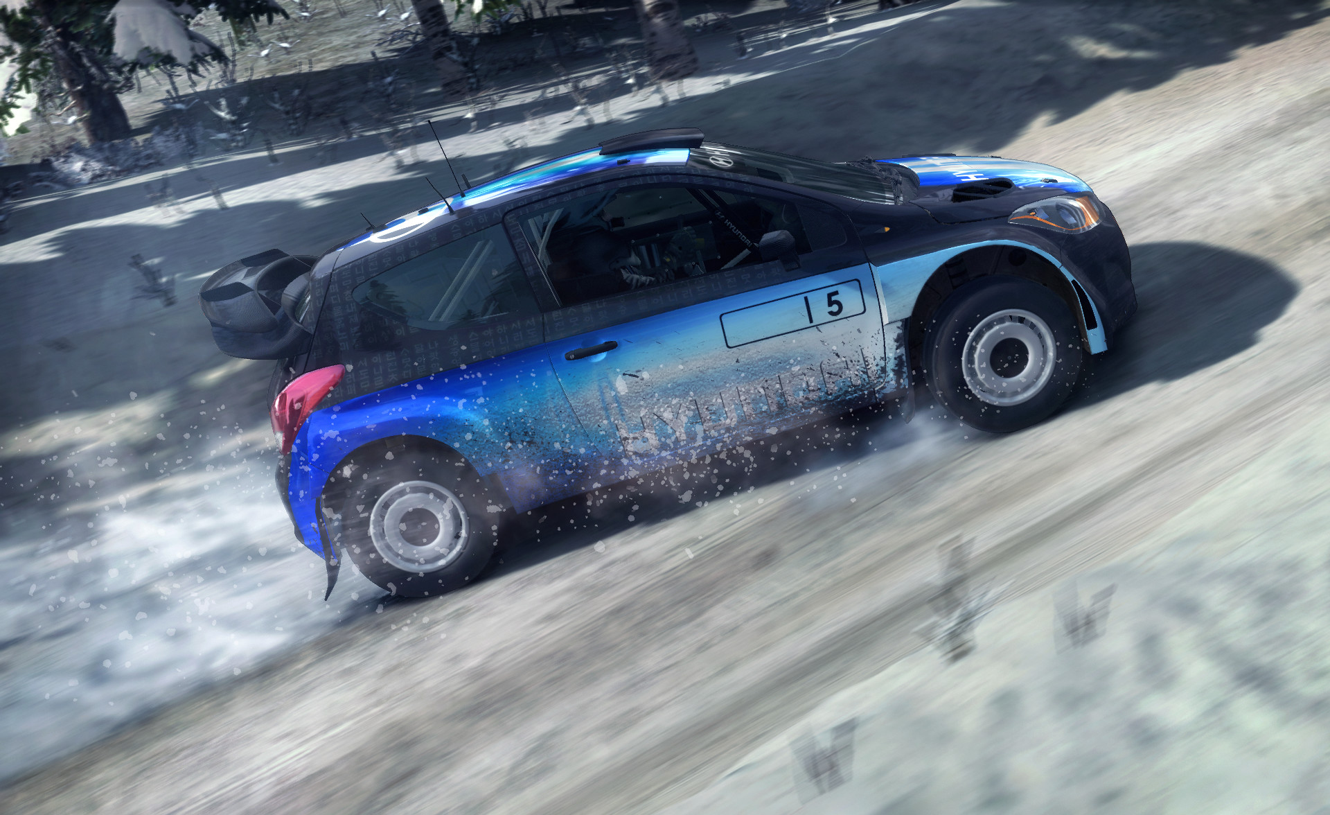 DiRT Rally screenshot 17