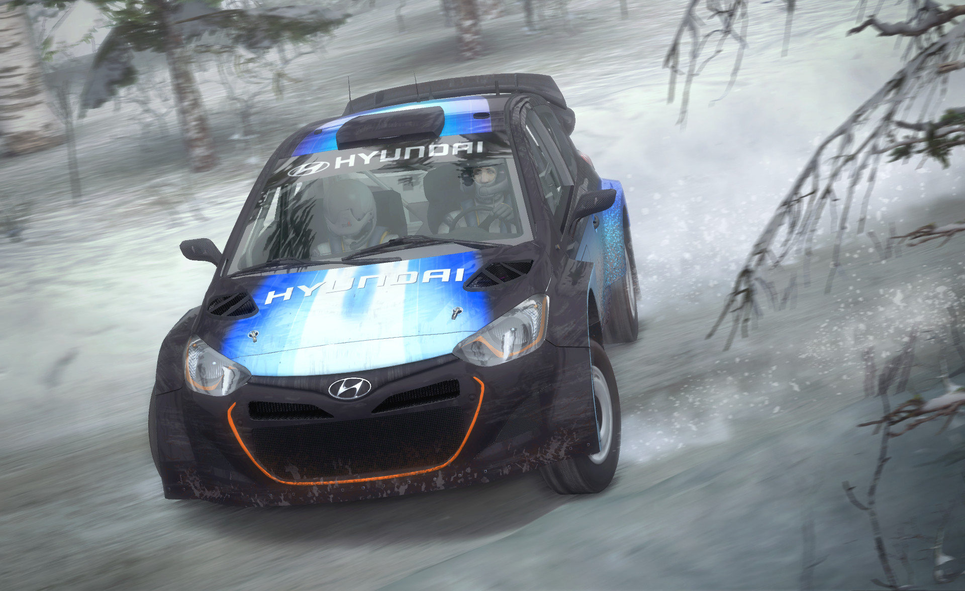 DiRT Rally screenshot 18