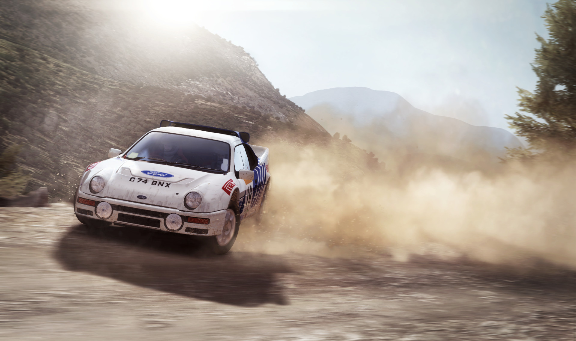 DiRT Rally screenshot 9