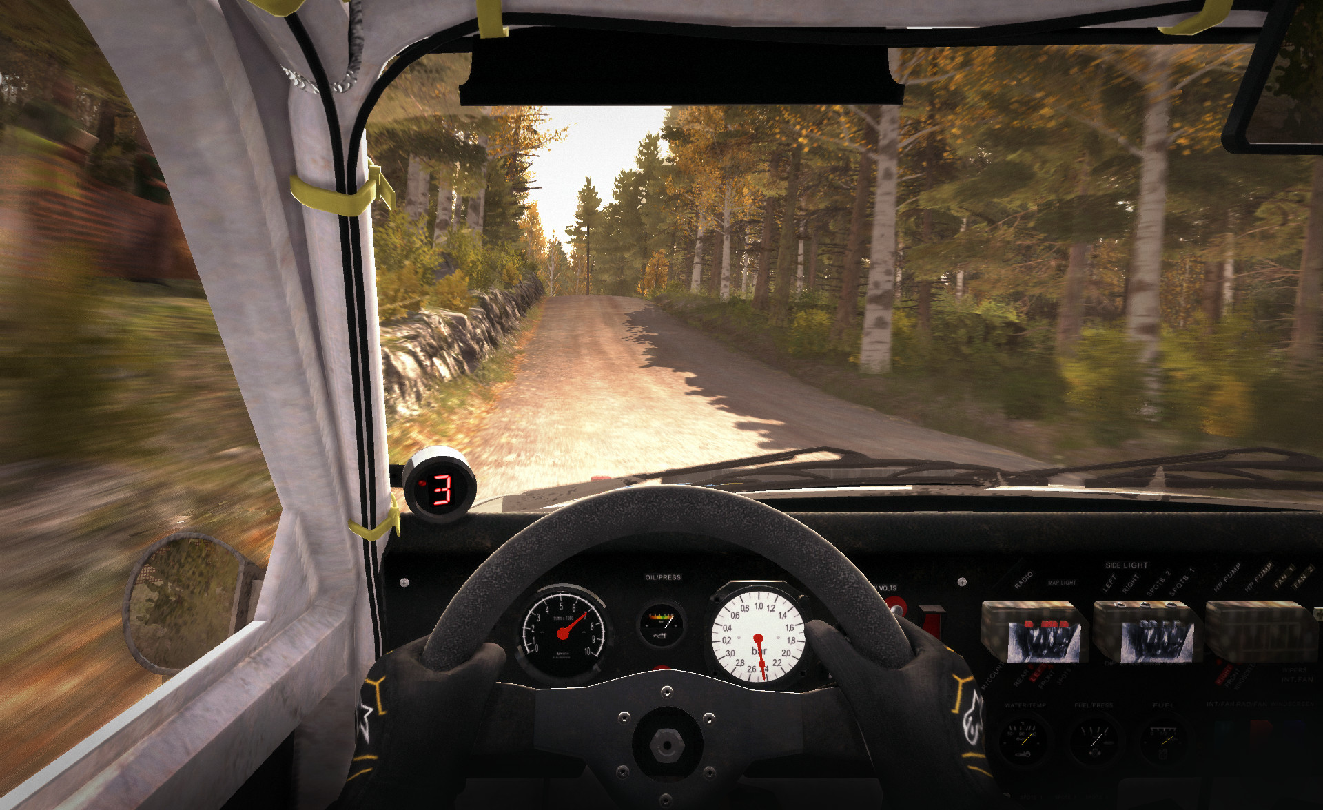 DiRT Rally screenshot 19