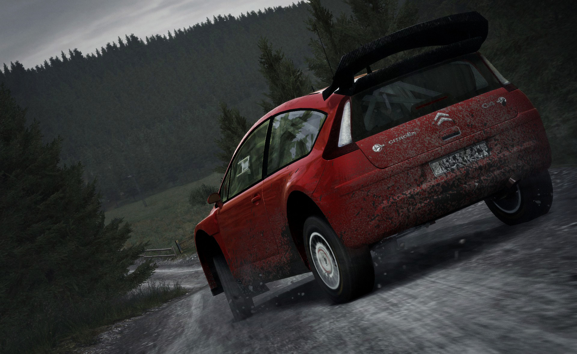 DiRT Rally screenshot 28