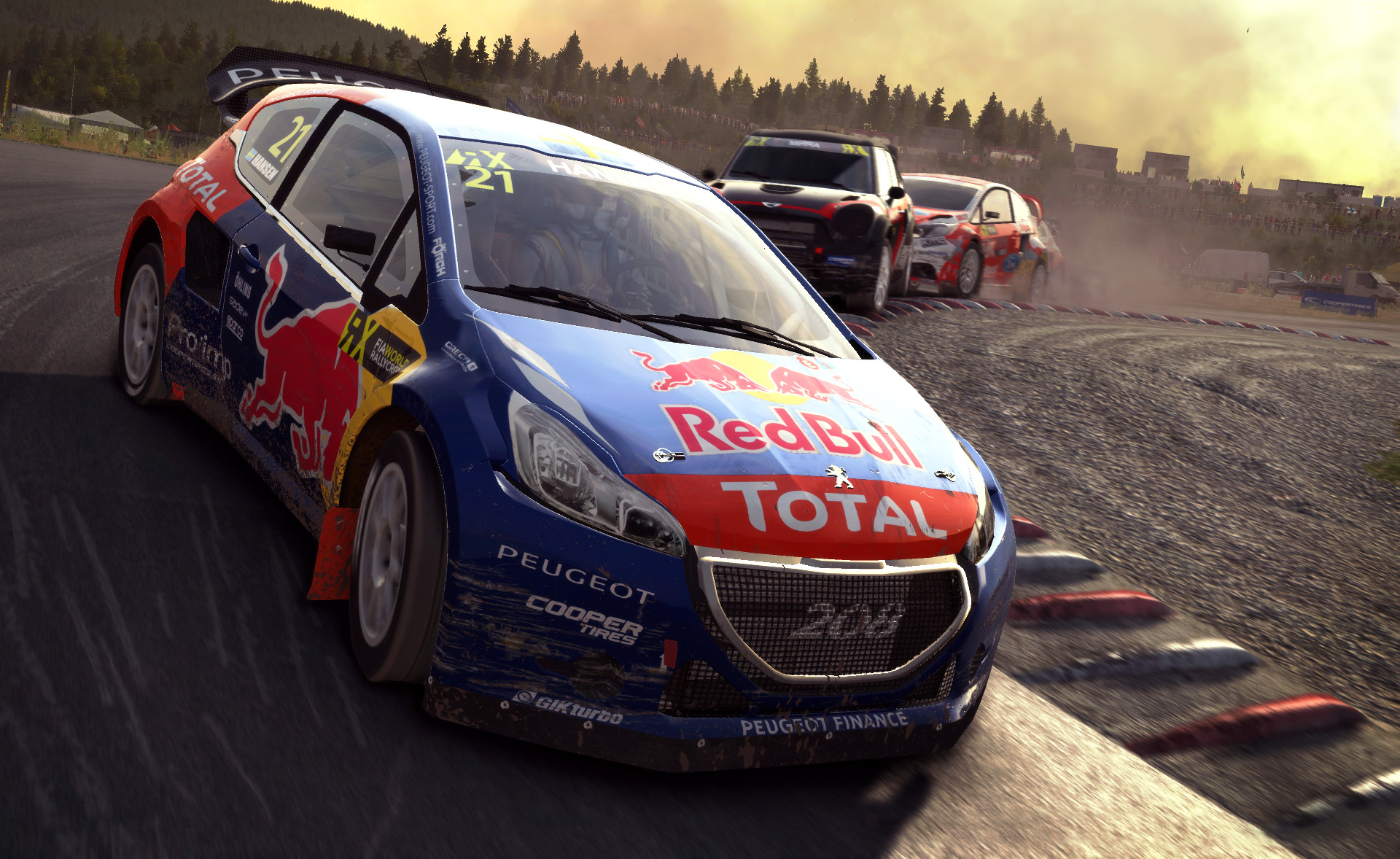 DiRT Rally screenshot 16