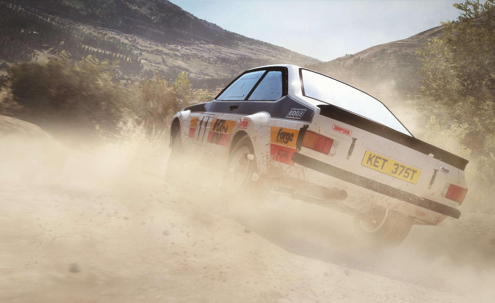 DiRT Rally screenshot 25