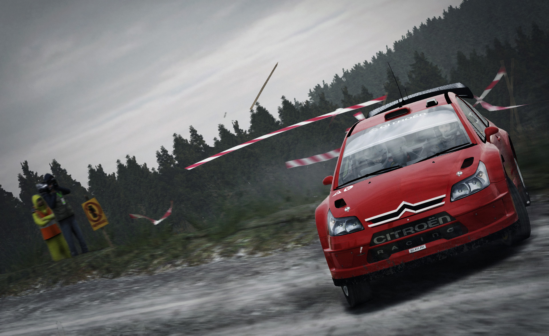 DiRT Rally screenshot 29