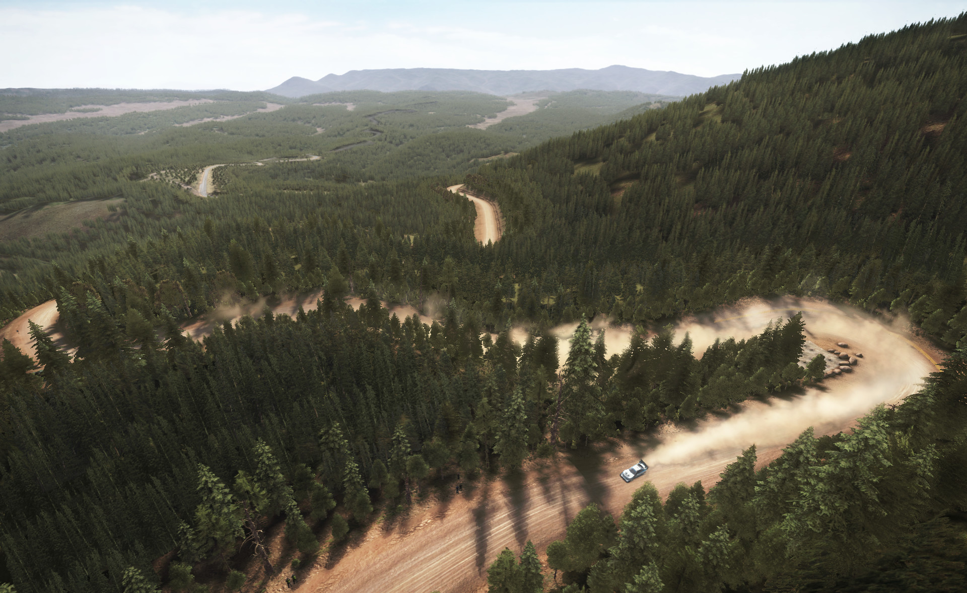DiRT Rally screenshot 21