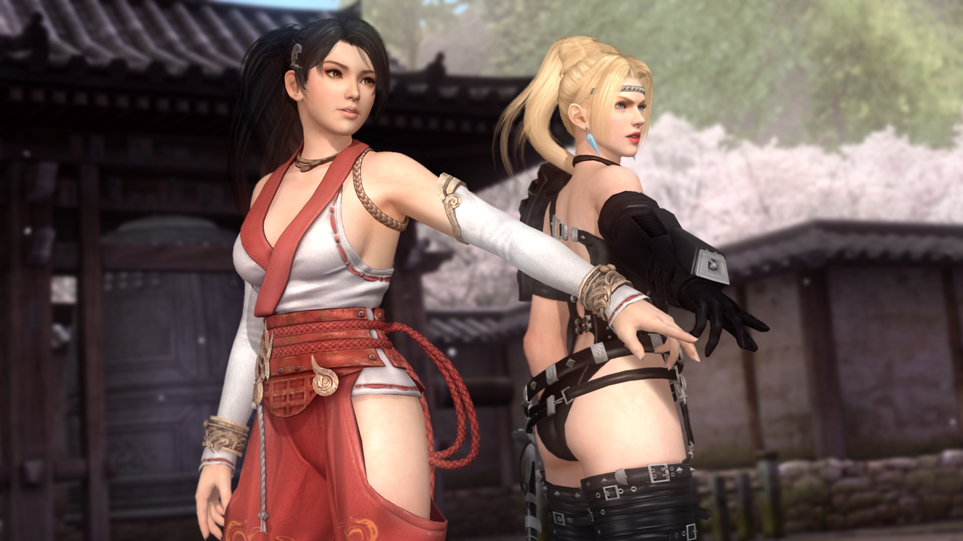 doa5 対戦 ラグ オファー steam版