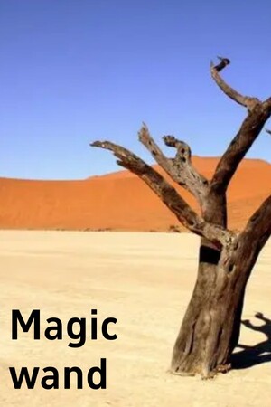 Magic wand
