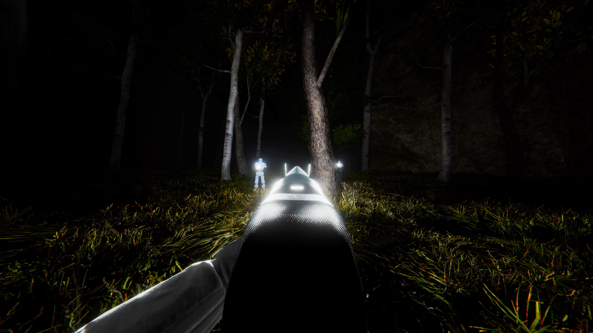 FLARE screenshot 2