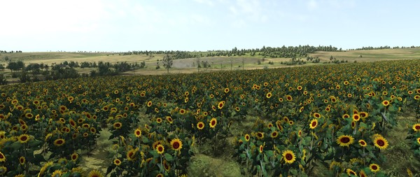 Graviteam Tactics: Mius-Front screenshot